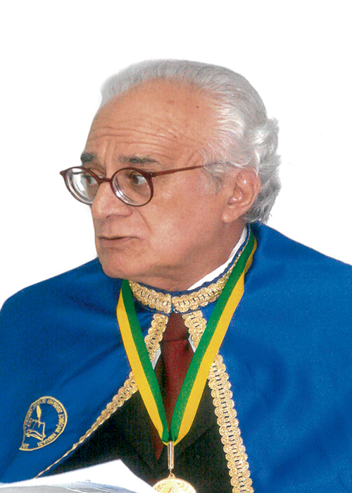 Cleiber Vieira Silva